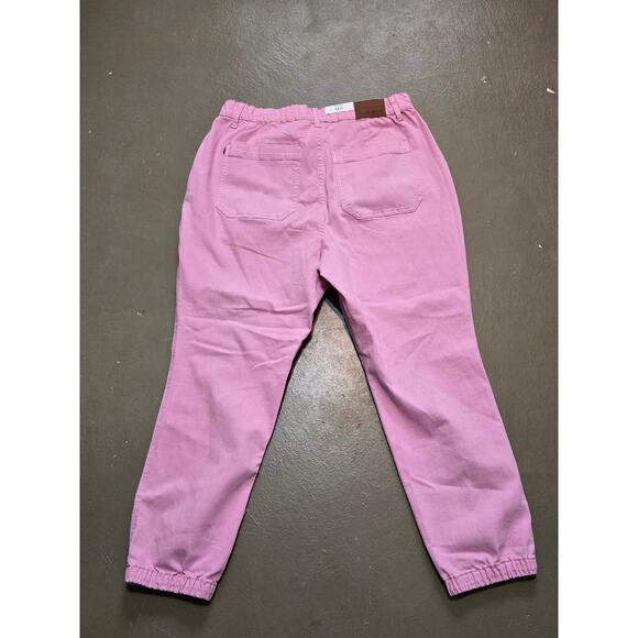 NWT‎ Judy Blue High Rise Garment Dyed Jogger Jeans in Pink Women's Size 16W - Picture 4 of 7